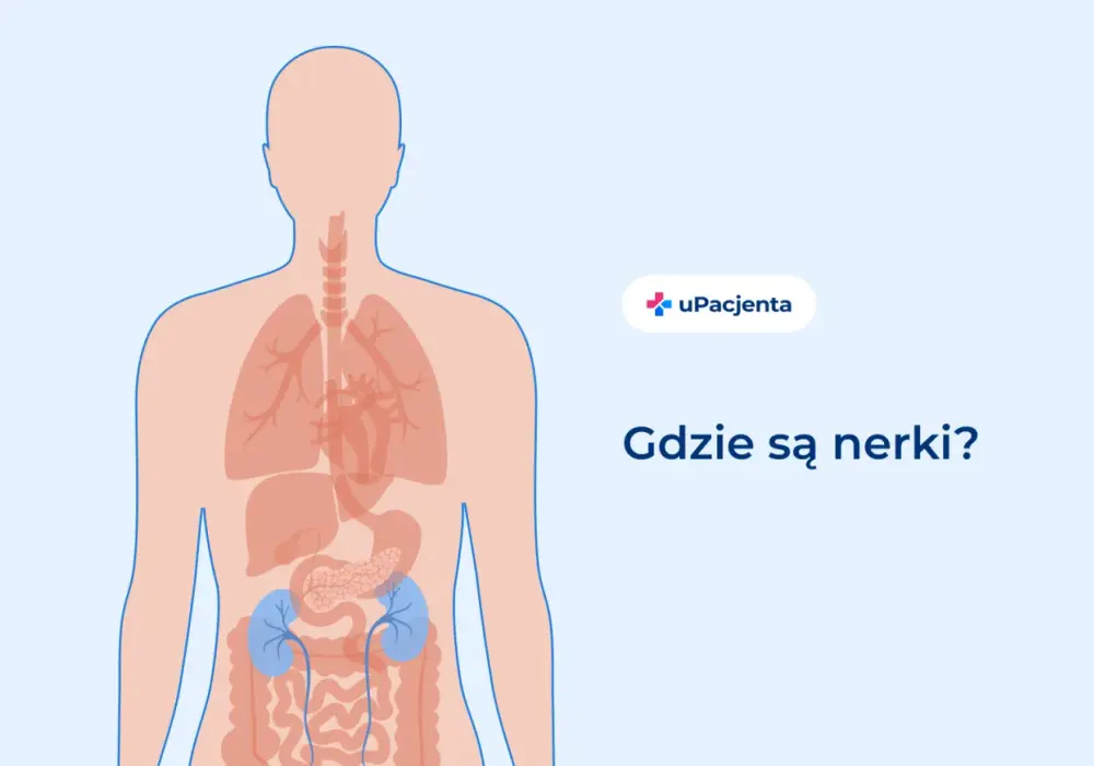 Ból z lewej strony pleców - kiedy to mięśnie, a kiedy nerki?