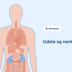 Ilustracja pokazuje ludzkie ciało z zaznaczonymi narządami wewnętrznymi. Ból z lewej strony pleców może być związany z nerkami, które znajdują się w dolnej części tułowia.