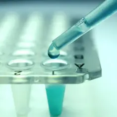 Kropla błękitnego płynu z pipety spada do probówki. To może być część testu na obecność infliksymabu.