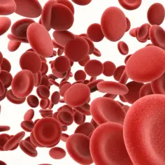 Czerwone krwinki unoszą się w przestrzeni, sugerując podwyższona hemoglobina.