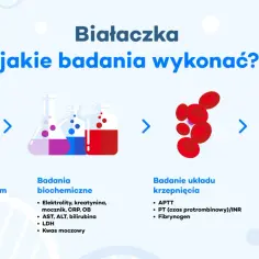 Grafika przedstawia badania diagnostyczne w kierunku białaczki: morfologię krwi, badania biochemiczne, układ krzepnięcia i badania obrazowe.
