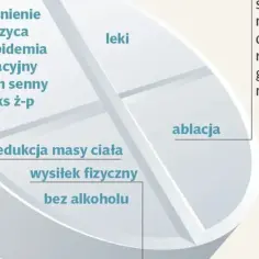 Grafika przedstawia tabletkę z podziałem na sekcje: leki, ablacja, redukcja masy ciała, wysiłek fizyczny, bez alkoholu oraz schorzenia.