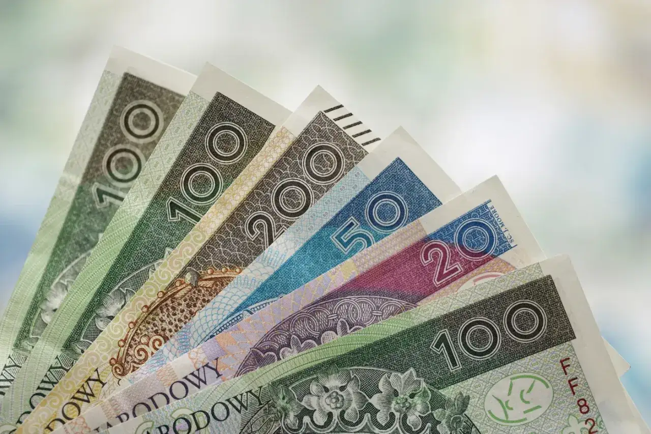 Pieniądze, banknoty 100, 200, 50, 20 zł. PFRON dofinansowanie do ogrzewania może pomóc w ich zdobyciu.