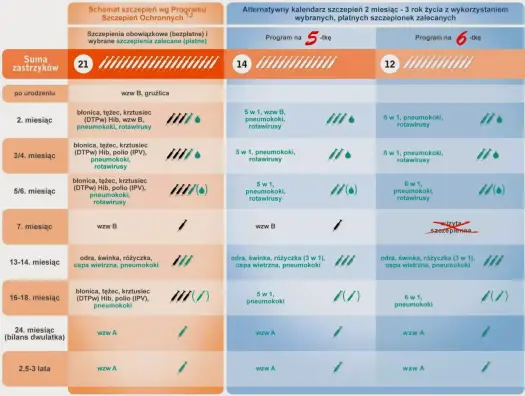 Szczepionka 6w1 - czy warto? Schemat, koszty, bezpieczeństwo
