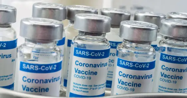 Szczepionki Pfizer - Comirnaty i Abrysvo. Wyjaśniamy różnice